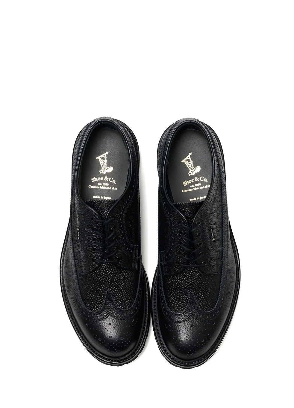 WING-TIP | Gore-Tex Brogue Leather Shoe | Black