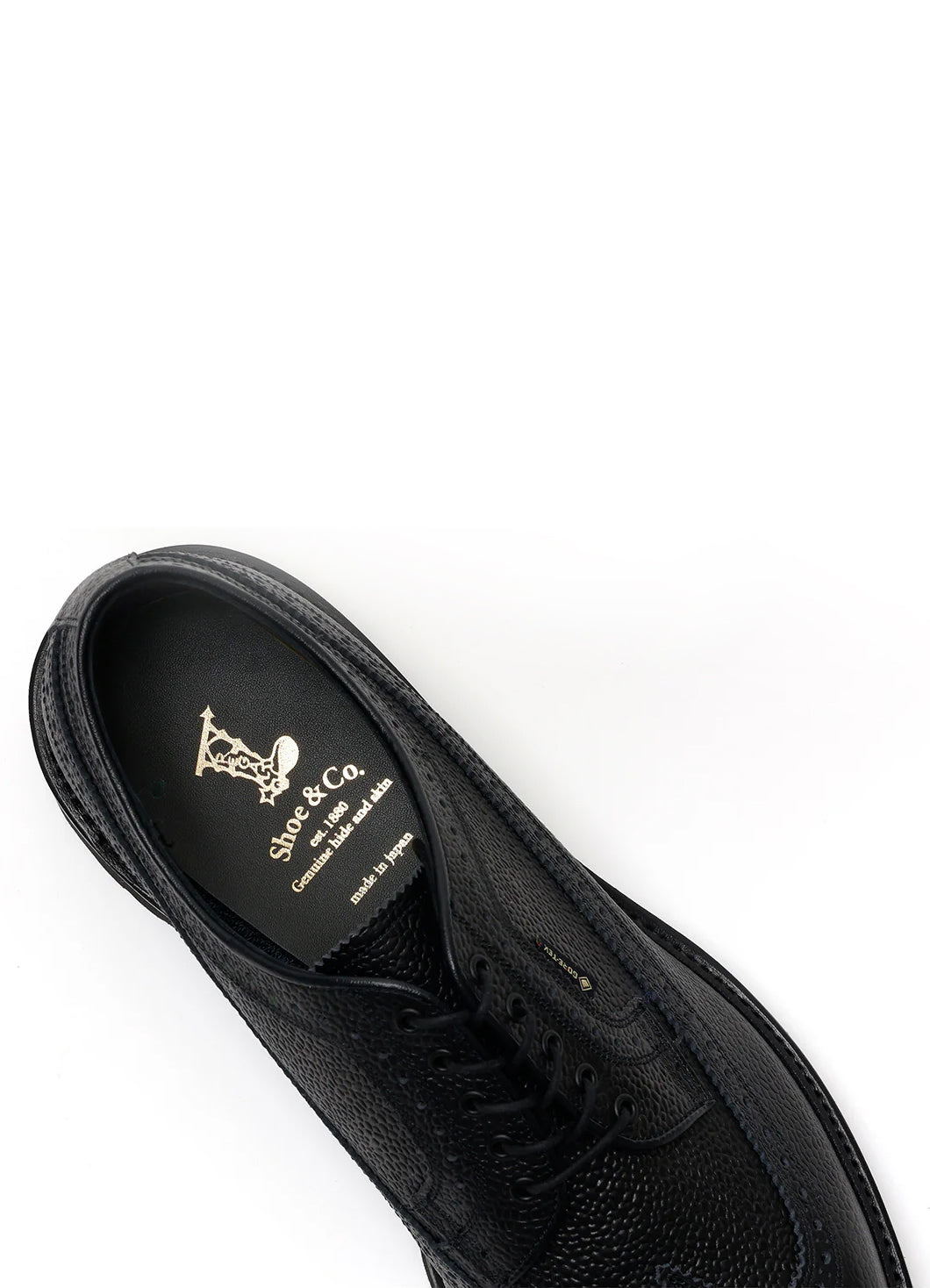 WING-TIP | Gore-Tex Brogue Leather Shoe | Black