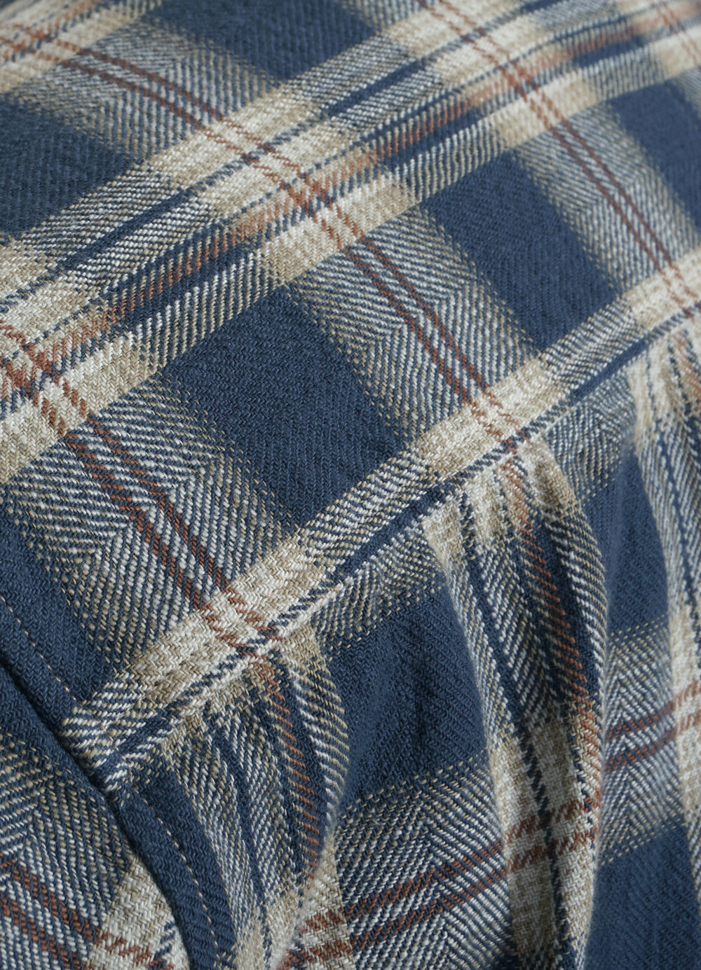 RAYMOND 30-22-3 | Loose Cut Shirt | Blue Checks