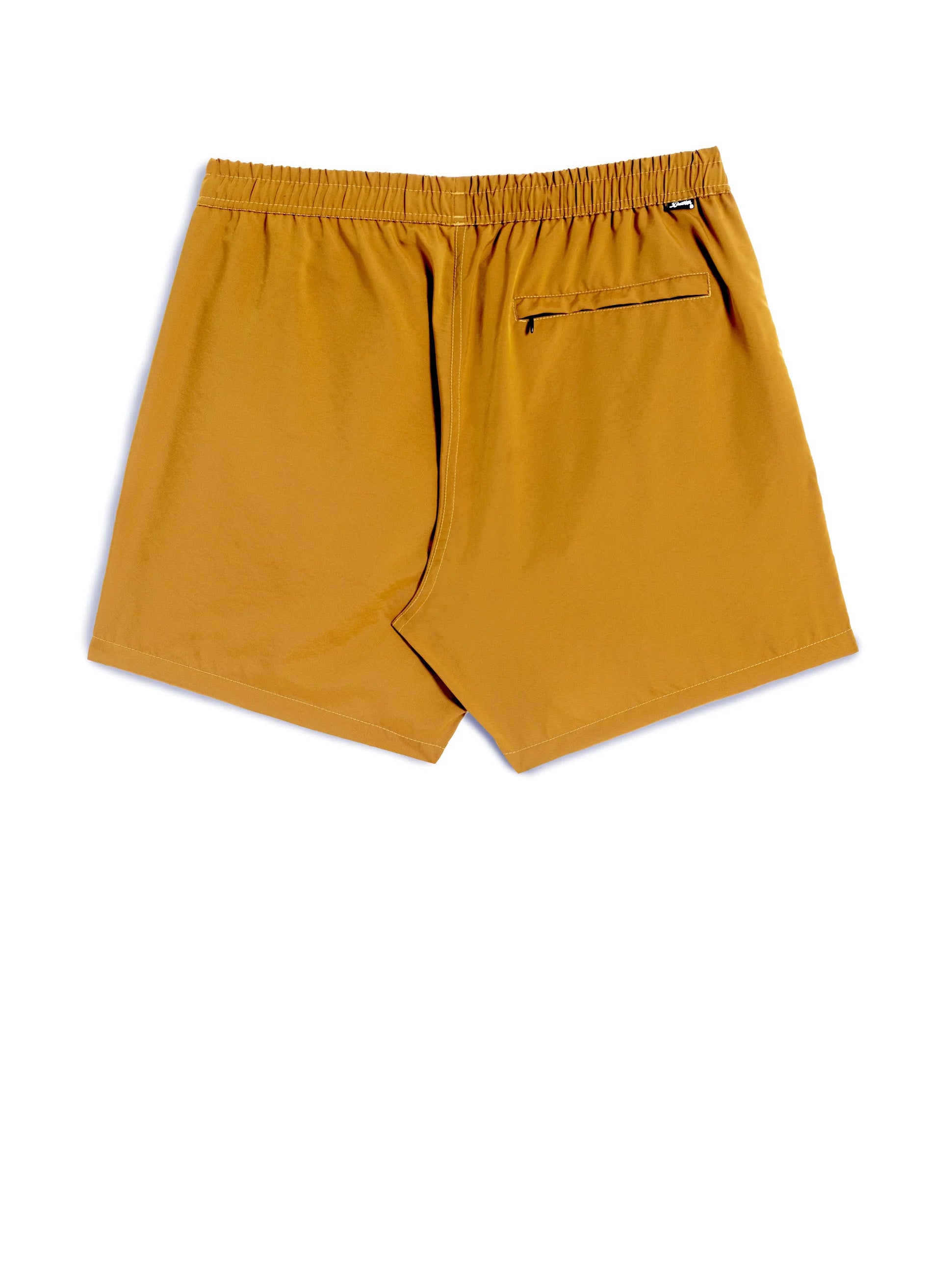 IRIDESCENT SWIM TRUNK | Honey